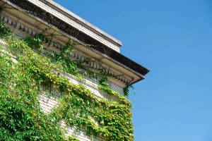 Help us Grow - The Post Youth Center - Elkhart County, IN