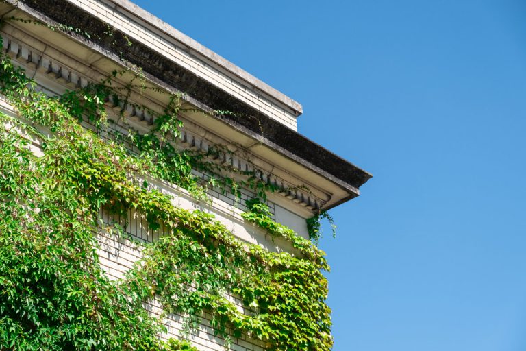 Help us Grow - The Post Youth Center - Elkhart County, IN